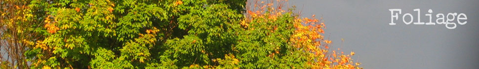 Lady in a Small Town random header image