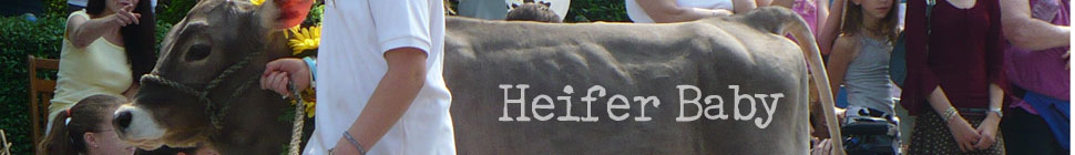 Lady in a Small Town random header image
